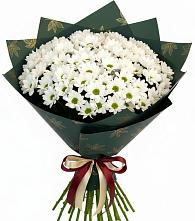 Букет цветов из:  Хризантемы #REPLACE_PRED# Подгорном