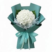 Букет цветов из:  Гортензия #REPLACE_PRED# Подгорном